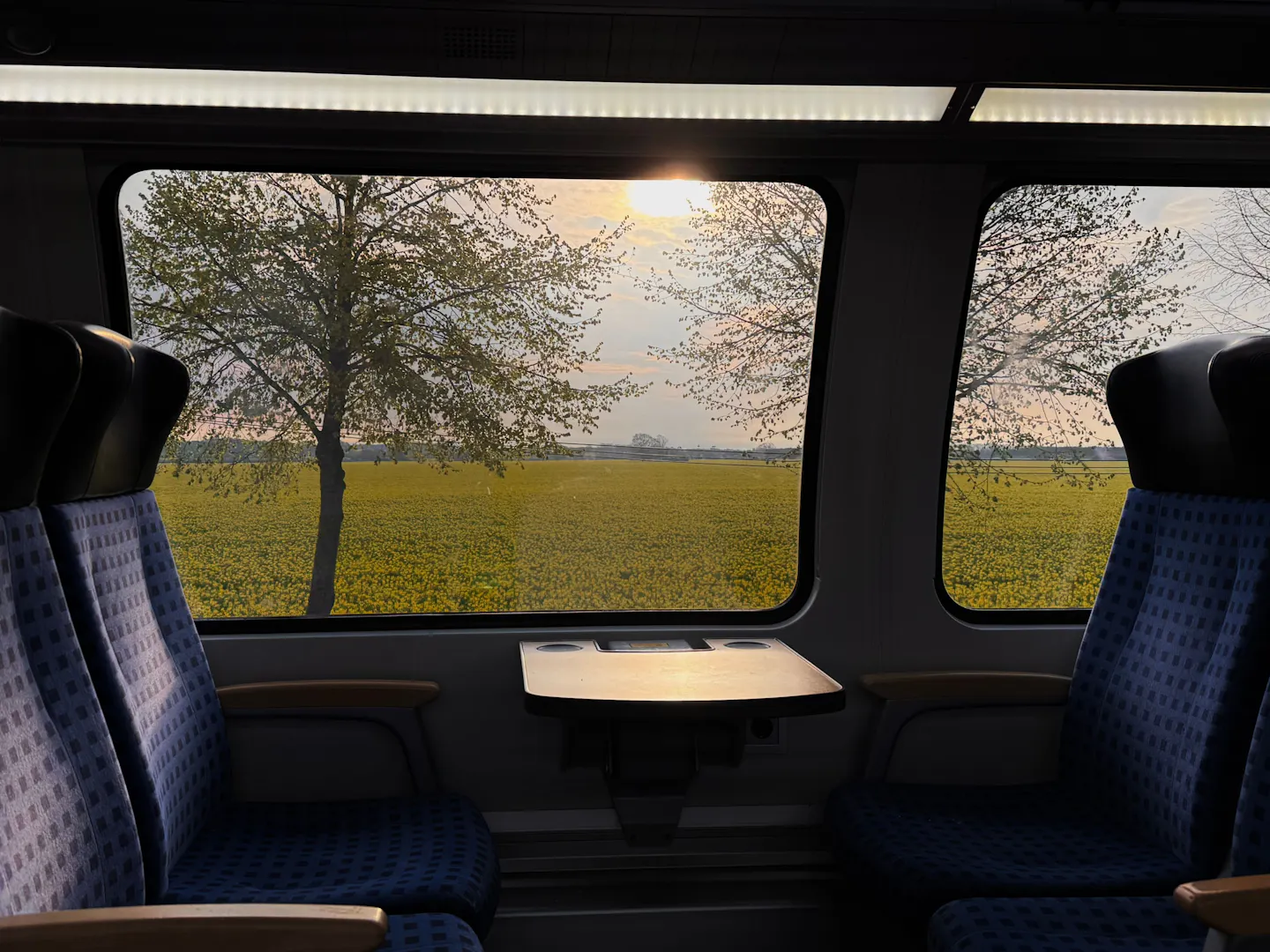 View from a train window across sunlit fields and trees