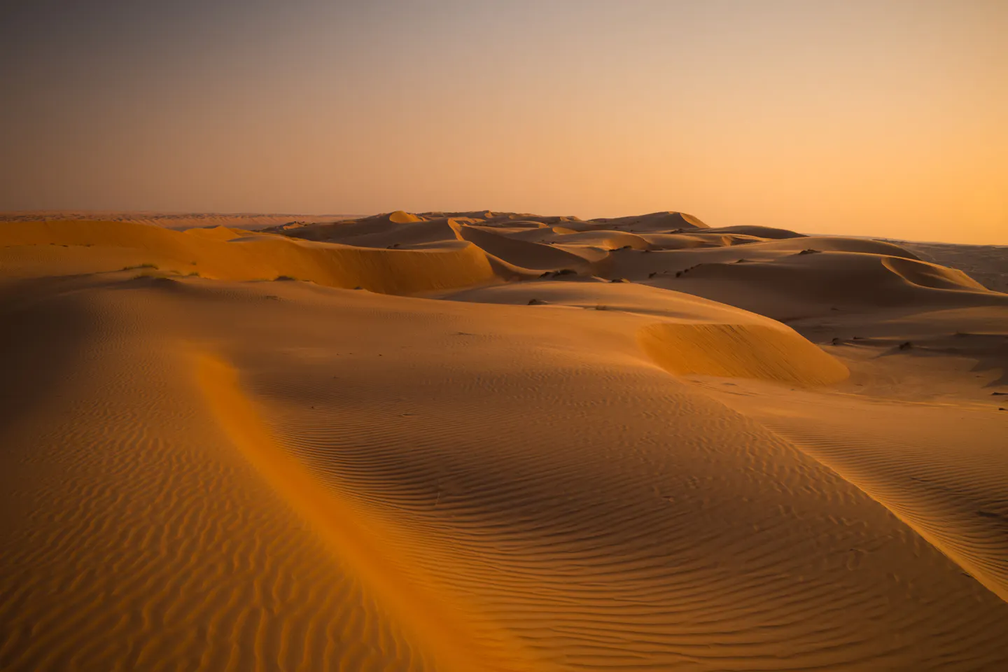 Rippled golden dunes stretching to the horizon in the Omani desert at sunset
