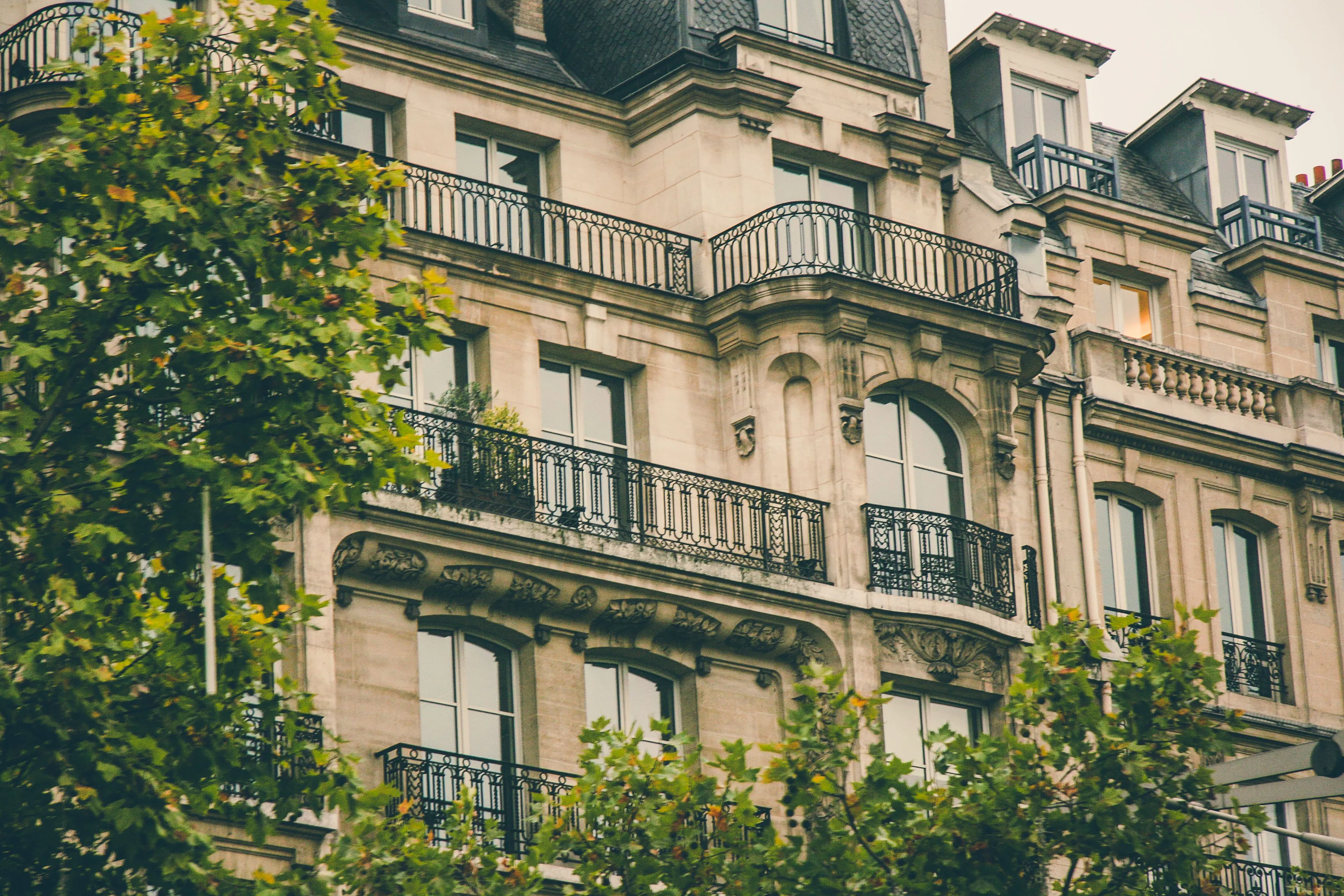 Cream Haussmann facades with ornate wrought-iron balconies, framed by plane-tree foliage
