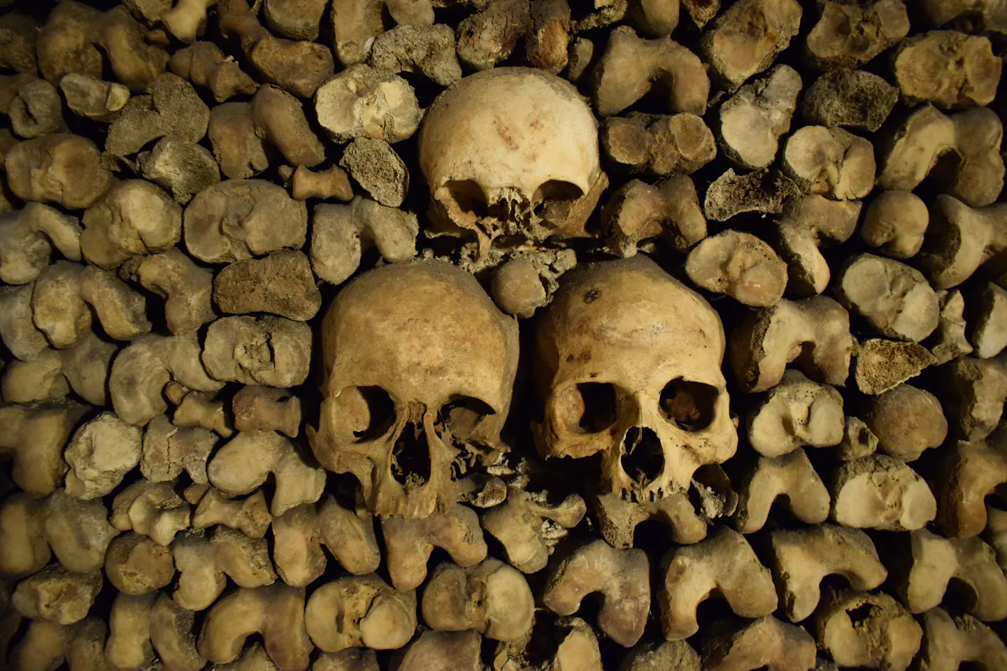Skulls set into a wall of stacked bones lining a gallery in the Paris Catacombs