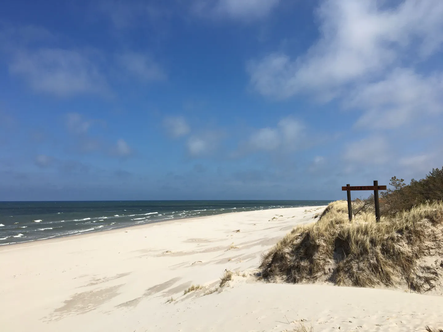 Wide white-sand Baltic beach and grassy dunes under a bright blue sky