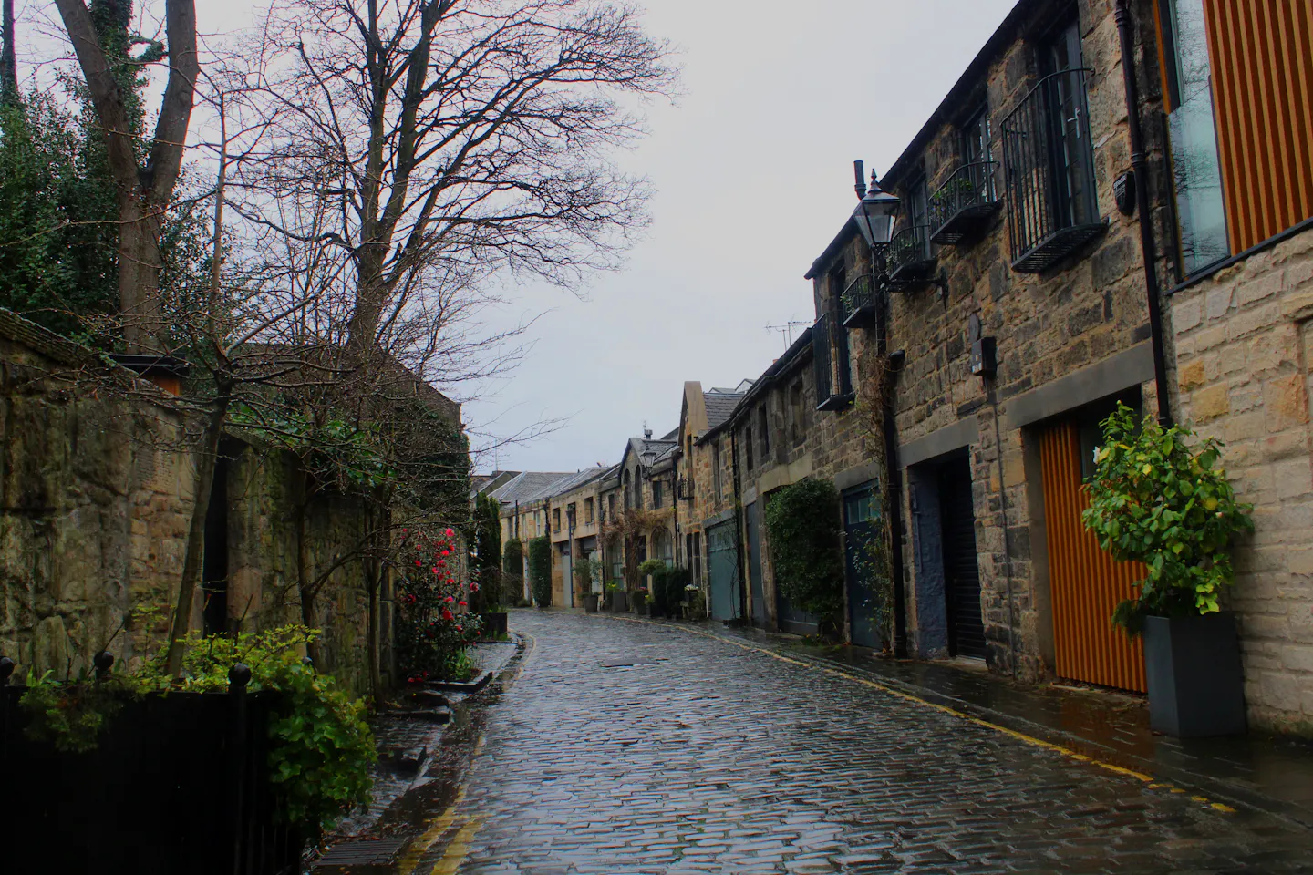 A rain-slicked cobbled Edinburgh mews lane after a shower, wet setts reflecting the light, a cast-iron lamp post, bare branches and ivy over old stone walls
