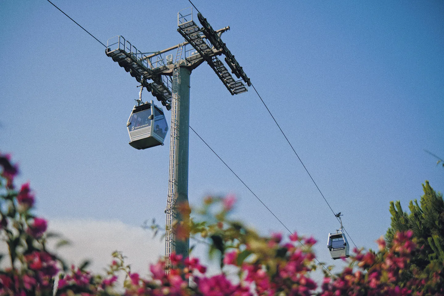 Montjuic cable car cabins crossing a clear blue sky above flowering pink bougainvillea