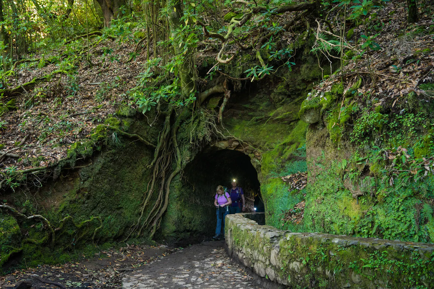 Hikers entering a moss-covered tunnel on a levada trail in Madeira
