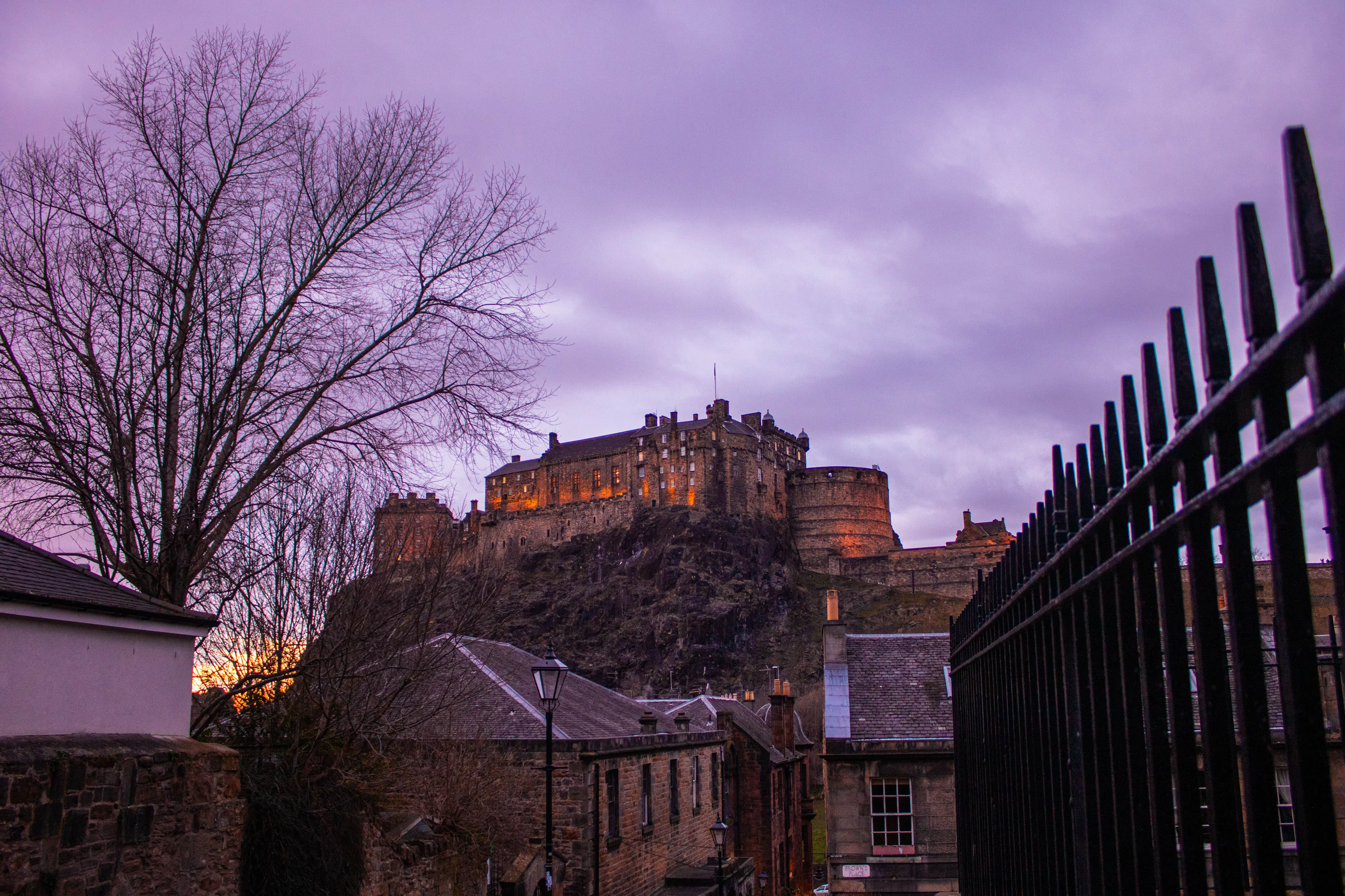 Edinburgh Castle floodlit on its crag under a deep violet twilight sky, a bare tree and black iron railings framing the Old Town rooftops below
