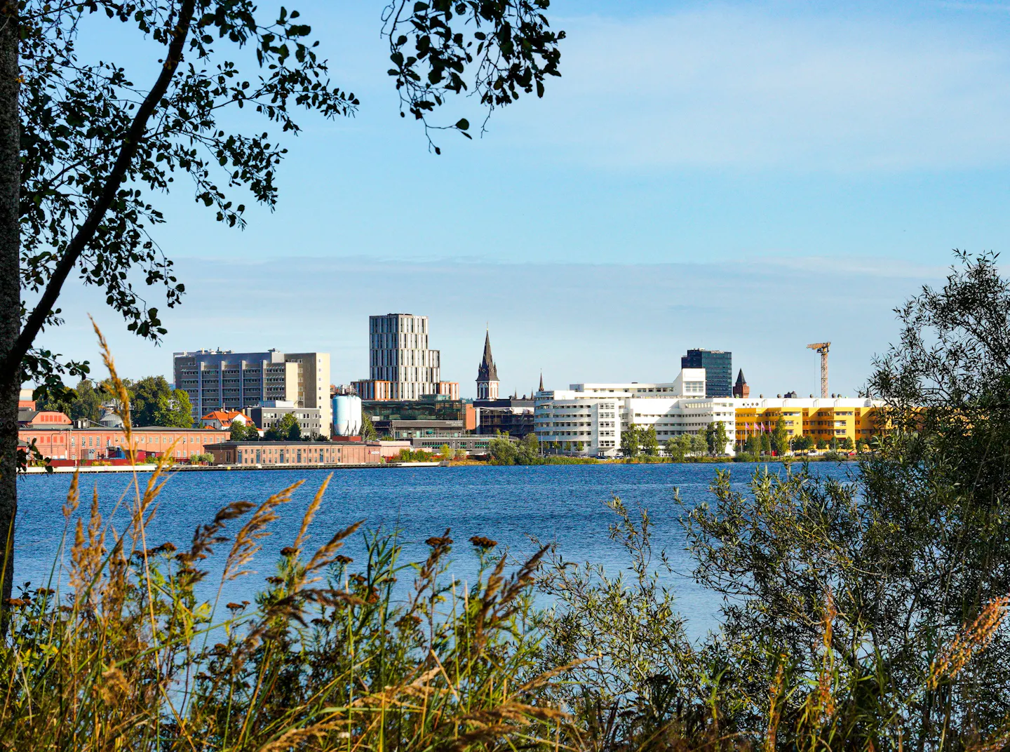 Oulu's city skyline and church spires seen across the water, framed by autumn grasses and trees