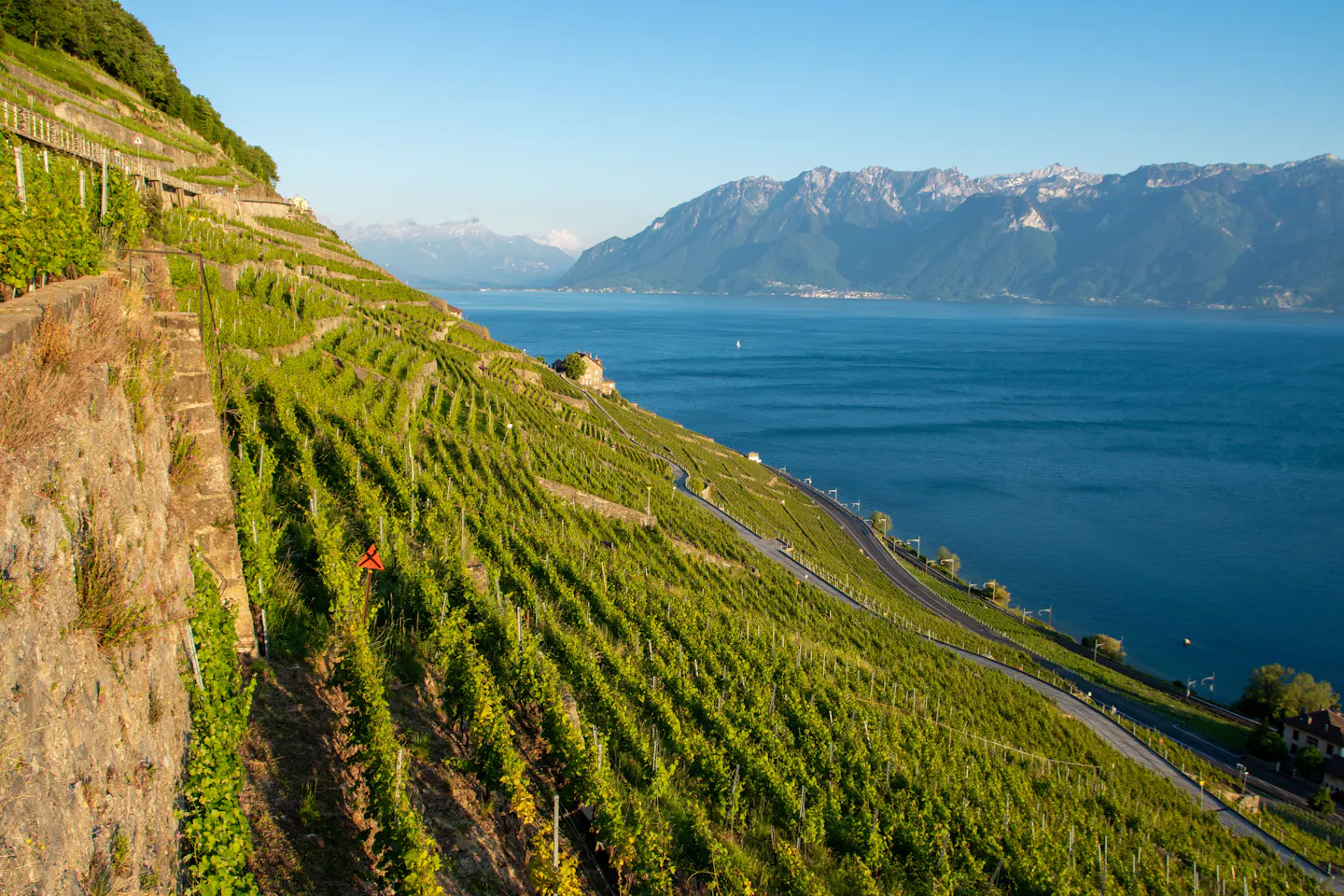 Terraced vineyards dropping to Lake Geneva with the Alps rising on the far shore