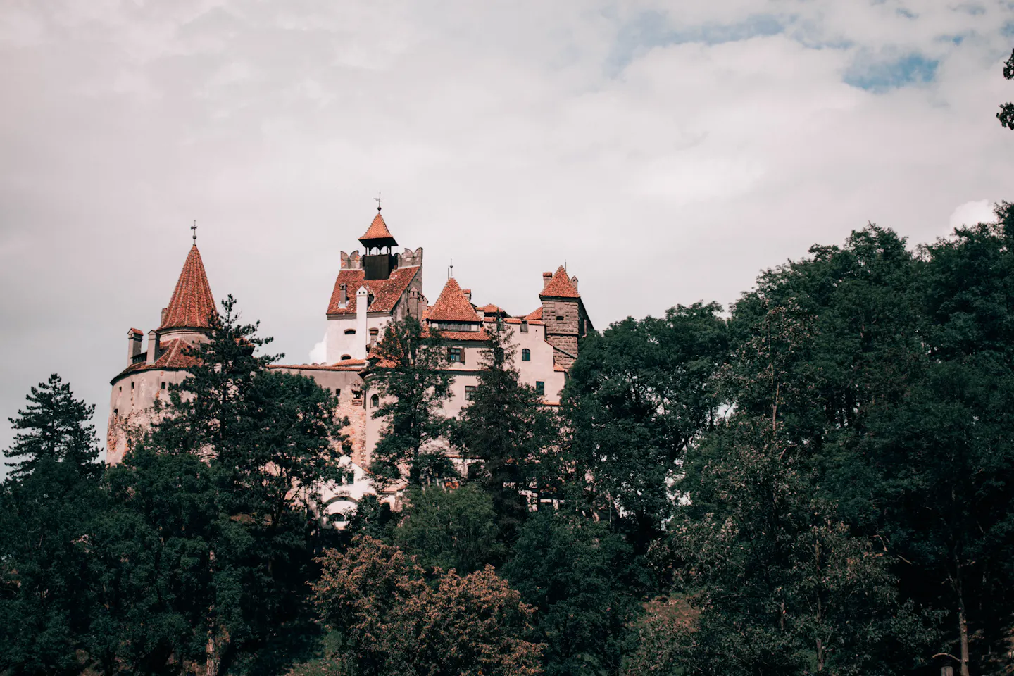 Bran Castle's white walls and steep red-tiled turrets rising out of dark Transylvanian forest, framed by treetops under a heavy pale sky