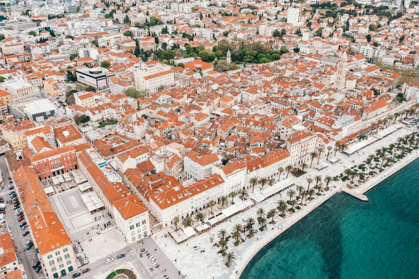 The terracotta rooftops of Split's old town beside a palm-lined promenade and the turquoise Adriatic