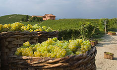I cibi portafortuna per partire con il piede giusto