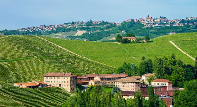 Vino piemontese: Fontanafredda è Cantina Europea dell'anno