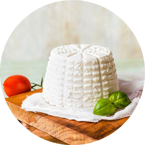 Ricotta