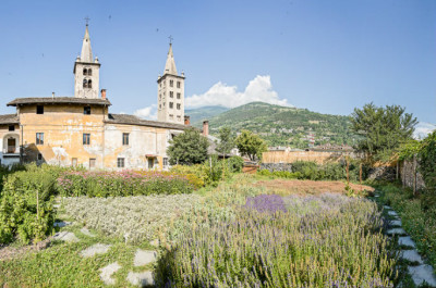 Dott. Nicola Farmacista