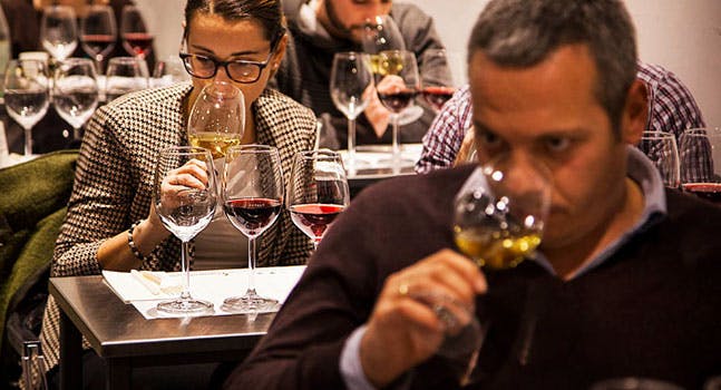 ABC del vino: un'introduzione al mondo del vino