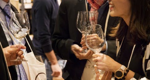 Degustazioni con calici di vino in Enoteca