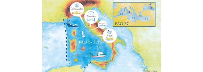 Mappa FAO 37 - Pescheria Eataly Roma