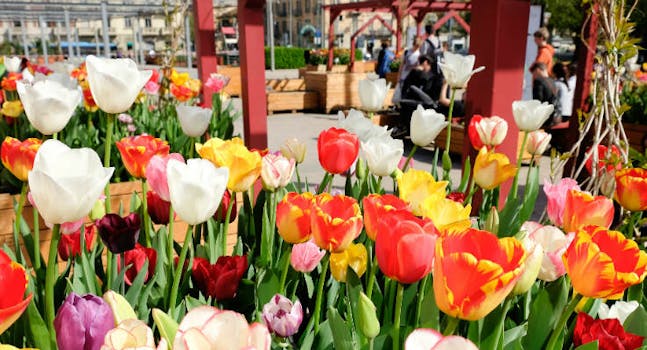 Orari di chiusura | Eataly