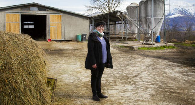 L'azienda agricola bio Casale Nibbi