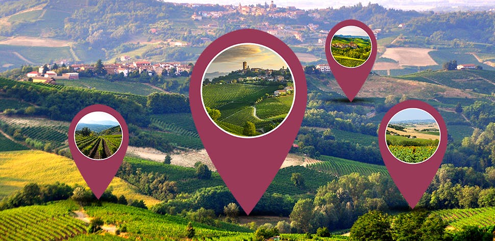 Le terre del vino | Eataly