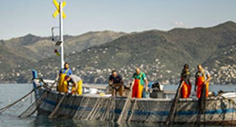 Tecniche di pesca sostenibili: quali sono?
