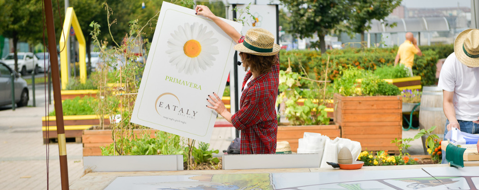 Gioco della gallina - Didattica per le scuole