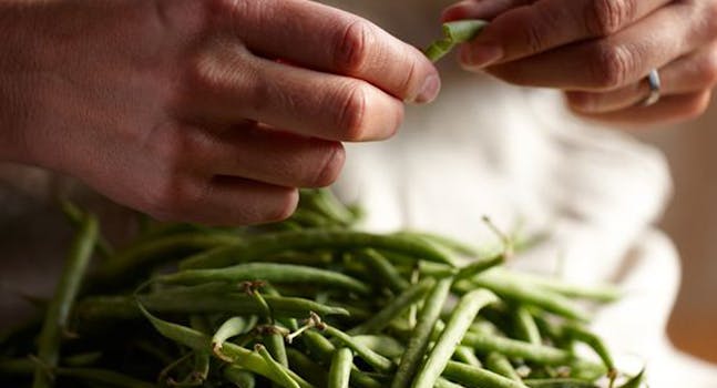 Una Festa per la Terra a Eataly Milano