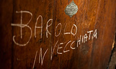 Le grappe della Distilleria Montanaro