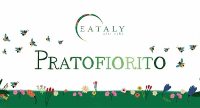 Pratofiorito
