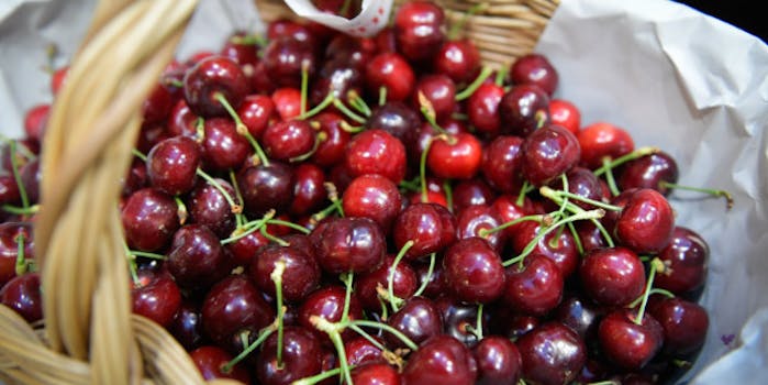 Cesto di ciliegie - Eataly