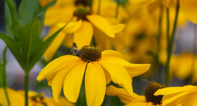 Bee the Future - Eataly