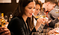 ABC del vino: l'arte di degustare il vino