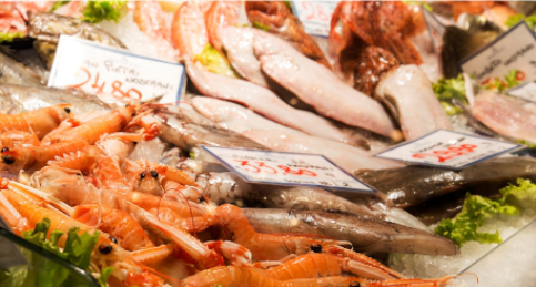 Il pesce fresco della Pescheria di Eataly