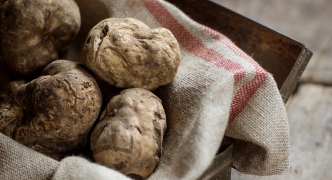 Tartufo