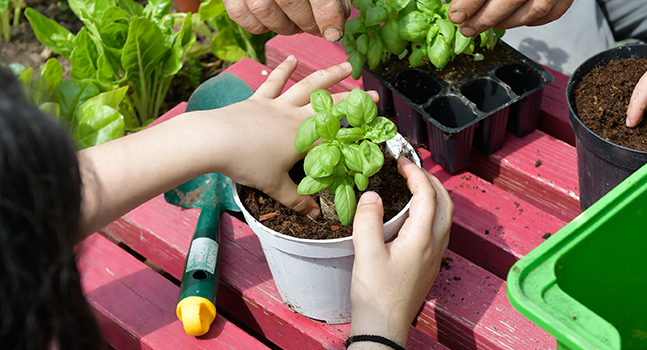 Laboratori per bambini