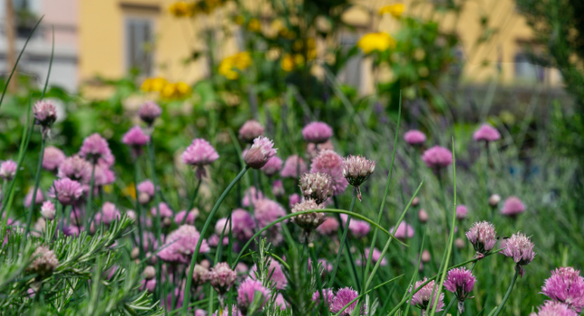Orari chiusura | Eataly