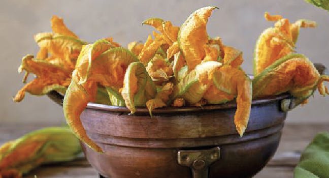 Festa dei fiori di zucca | Eataly