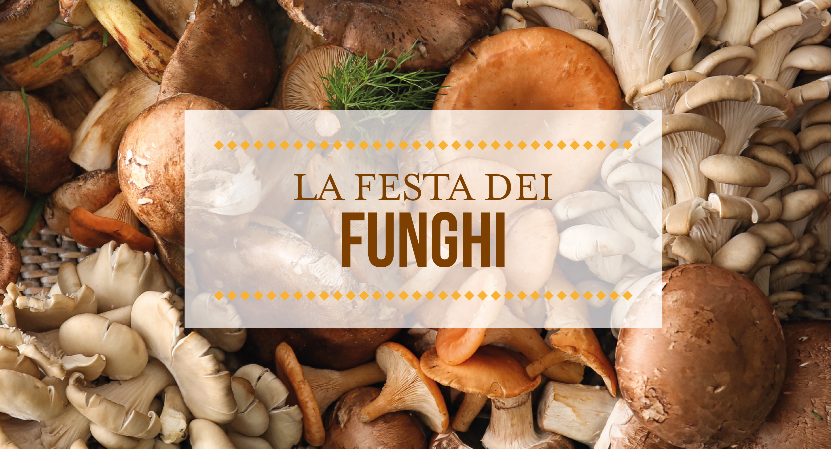 Festa dei funghi