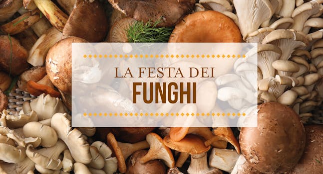 Festa dei funghi