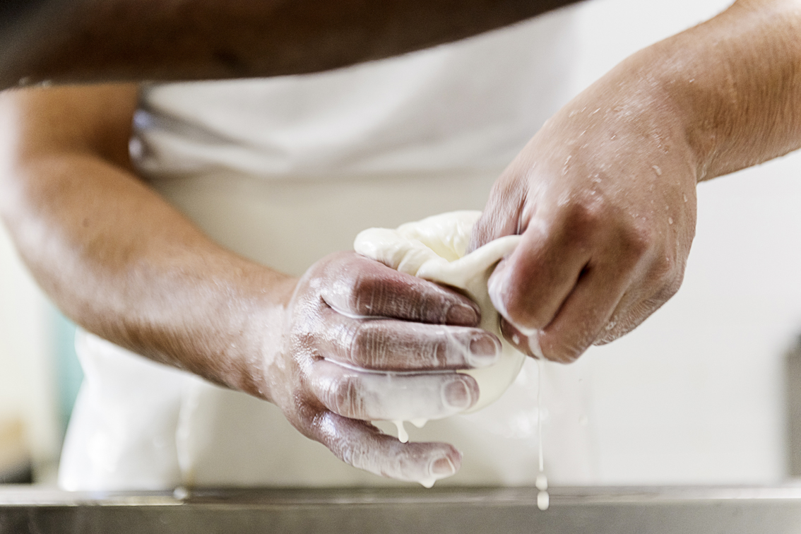 Caseificio Fiordilatte Milano