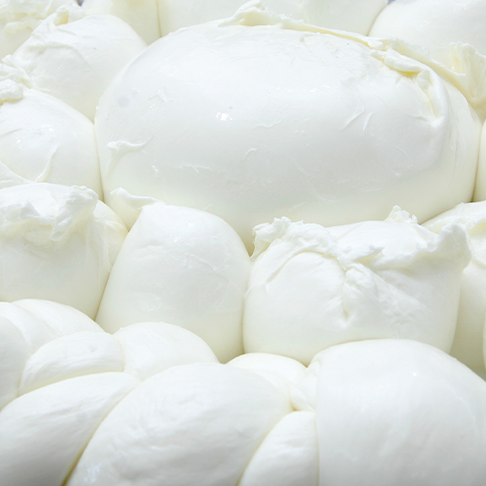 Mozzarella