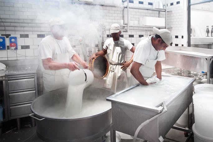 mozzarella di bufala campana