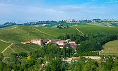 ABC del vino: un'introduzione al mondo del vino