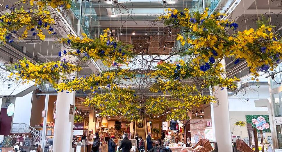 Eataly Roma: ristoranti, mercato, corsi ed eventi | Eataly