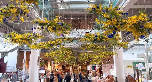 Eataly Roma: ristoranti, mercato, corsi ed eventi | Eataly