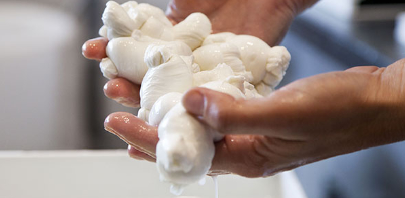 Mozzarella del Caseificio Eataly