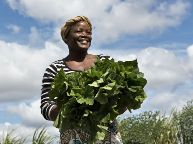 Eataly e il Rispetto - 10.000 orti in Africa