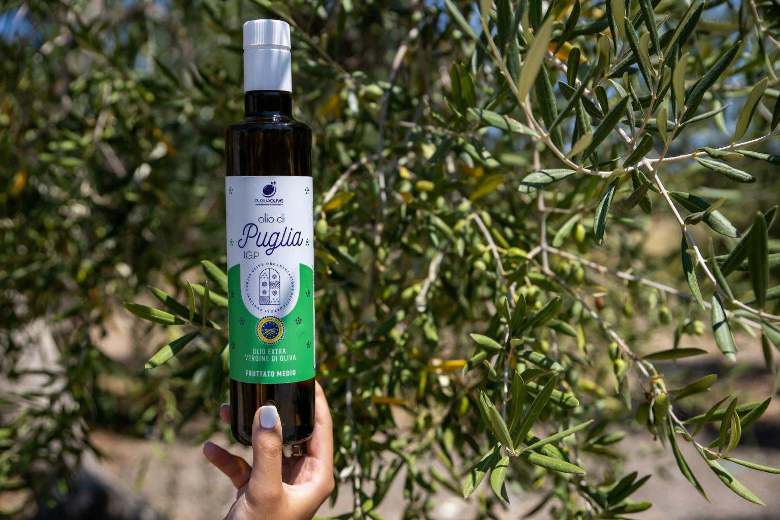 Puglia Olive