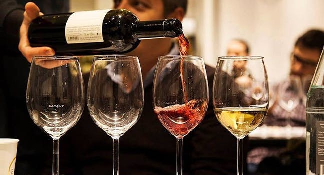 Degustazione vini