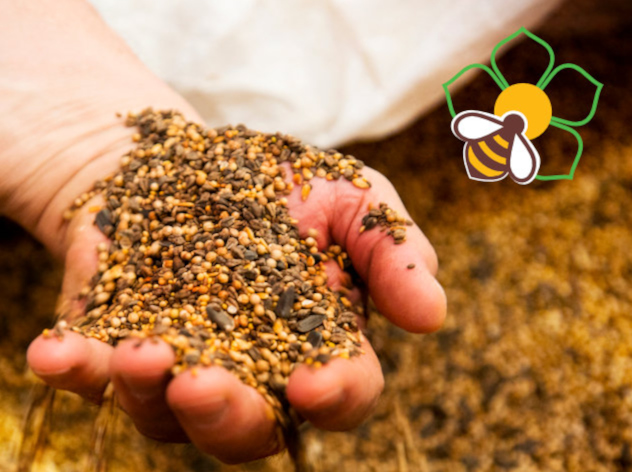 Bee The Future - Eataly e il Rispetto