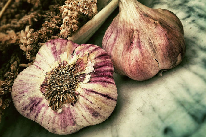 Pesticidi naturali aglio